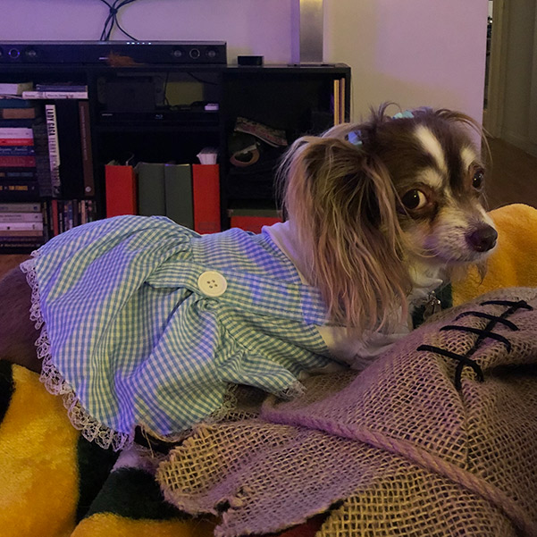 Sadie